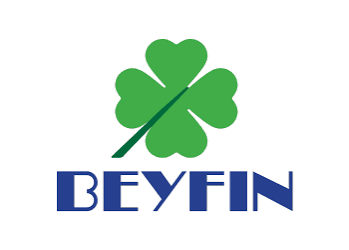 Beyfin